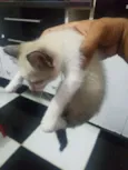 Não definidos