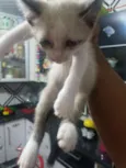 Não definidos