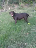 Mel