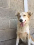 BILLY