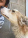 BILLY