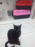 Neo