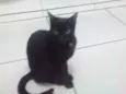 Neo