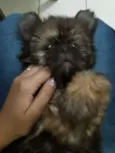 Nick