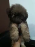 Nick