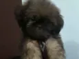 Nick