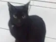 Neo