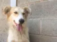 BILLY