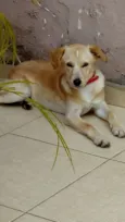 Indefinido
