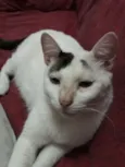 Doug