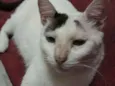 Doug