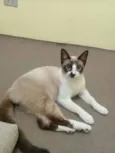 Anakin