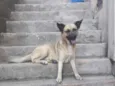 Billy 