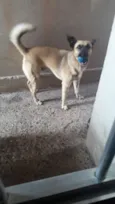 Billy 