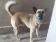 Billy 