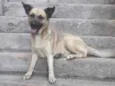 Billy 