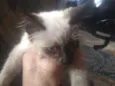 Marie