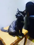 Mia