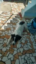 SNOOPY