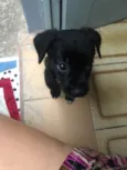 Nina