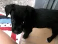 Nina