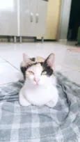 Leia