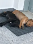Lika e Luma