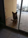 Nina