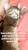 Belinha