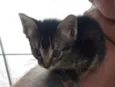  Bebe e princesa