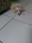 Nina