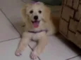 Nina