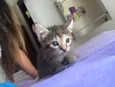 Bela