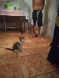 Nao tem nome ainda