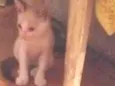 Nao tem nome ainda