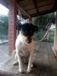 Bela