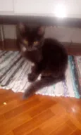 Neguinho e raja