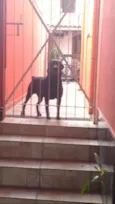 Zeus