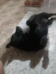 Zeus