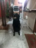 Zeus