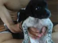 Oreo