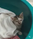 Marie