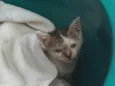 Marie