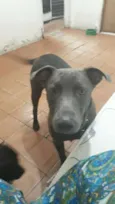 Bolt