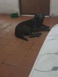 Bolt