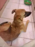 Não sei