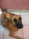 Não sei