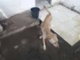 Ainda nao tem