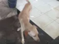 Ainda nao tem