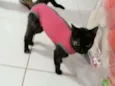 Mel